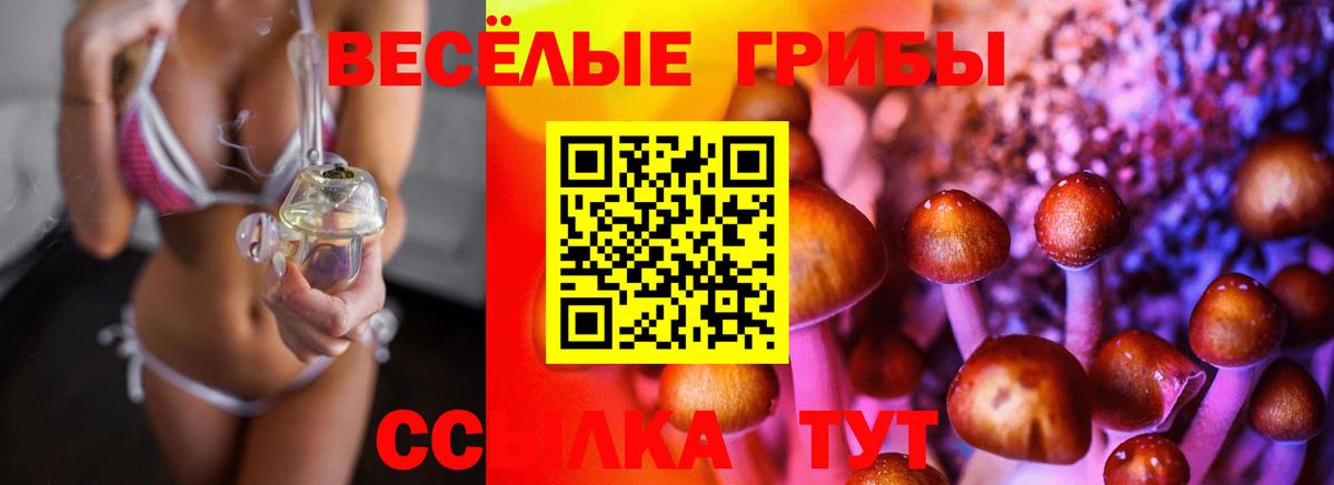 Галлюциногенные грибы Psilocybe Малоярославец