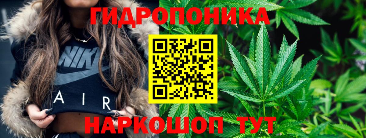 Шишки марихуана план  Вход с VPN  Малоярославец  Конопля конопля 